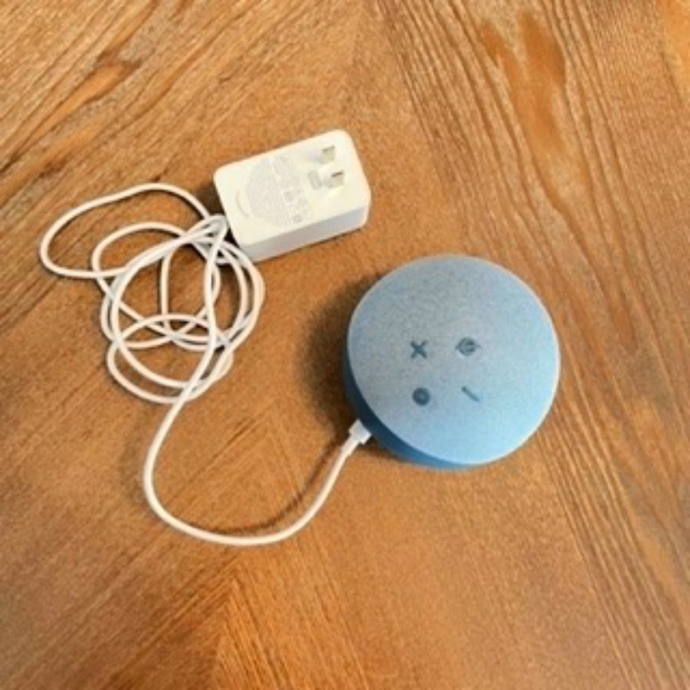 Amazon kids echo dot (blue)